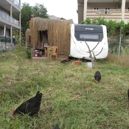 Cinar Karavan Kamp alanı Marmaris